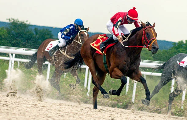 How To Become Better At Betting On Horse Racing